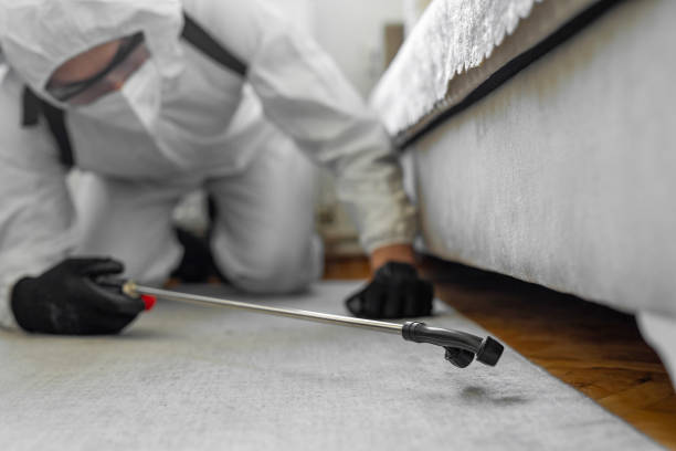 Professional Pest Control technician working in St. Charles County County, MO